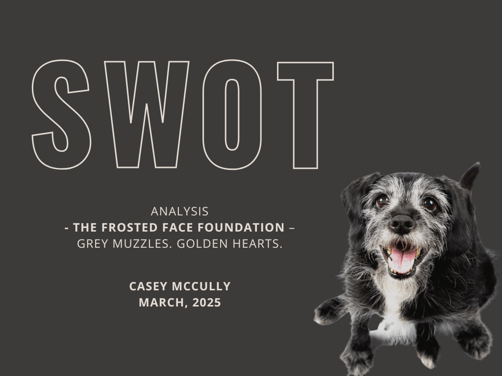 Imagining a Sanctuary for Senior Dogs: The SWOT Behind Frosted Face Foundation